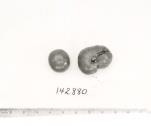Click for 1 image(s) for this accession. FRUIT